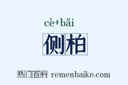 侧柏是什么意思的图片